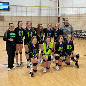 Meet your Posher, Marley